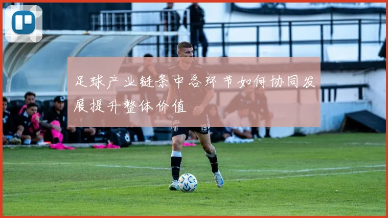 足球产业链条中各环节如何协同发展提升整体价值