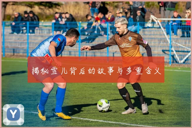 揭秘雪儿背后的故事与多重含义