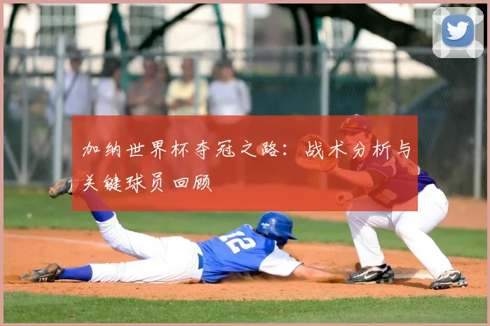 加纳世界杯夺冠之路：战术分析与关键球员回顾